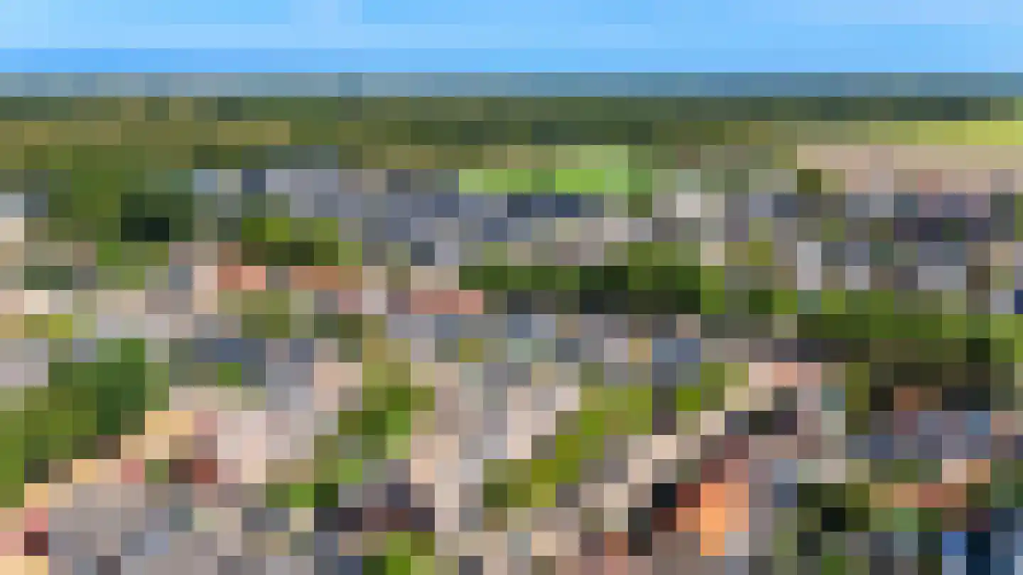 P J Warmerdamstraat 21 De Zilk thumbnail 34