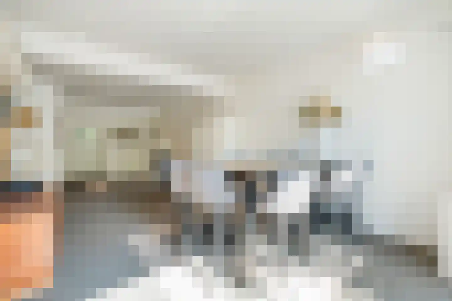 P J Warmerdamstraat 21 De Zilk thumbnail 4