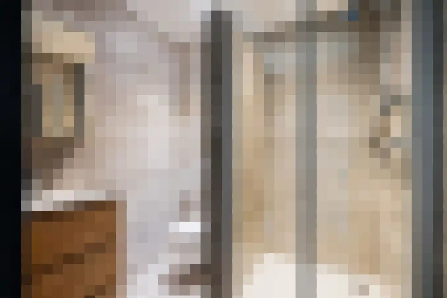 P J Warmerdamstraat 21 De Zilk thumbnail 9