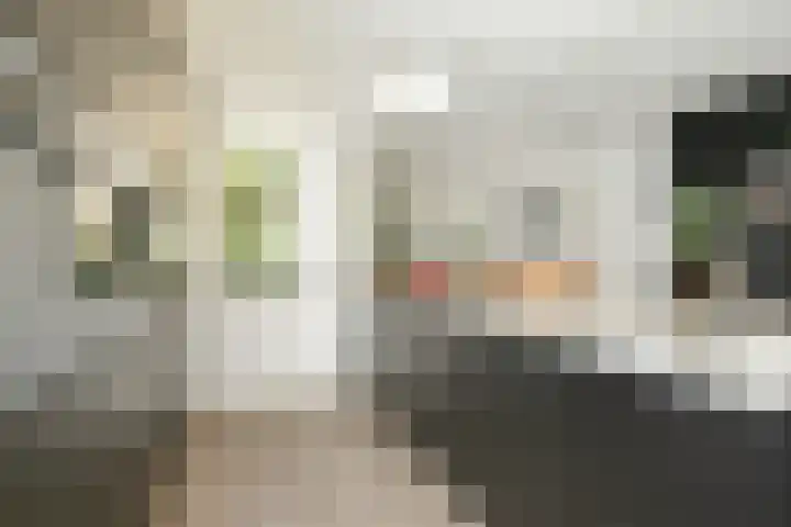 P J Warmerdamstraat 22 De Zilk thumbnail 10