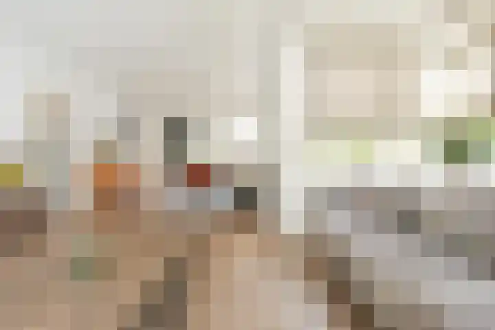 P J Warmerdamstraat 22 De Zilk thumbnail 11