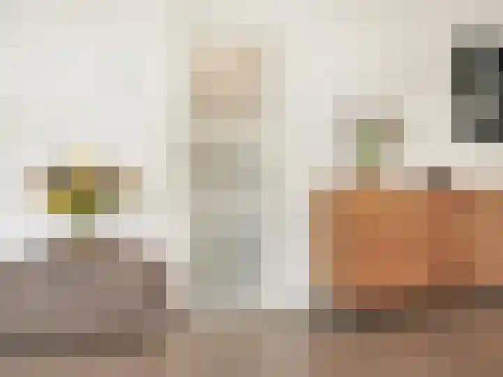 P J Warmerdamstraat 22 De Zilk thumbnail 14