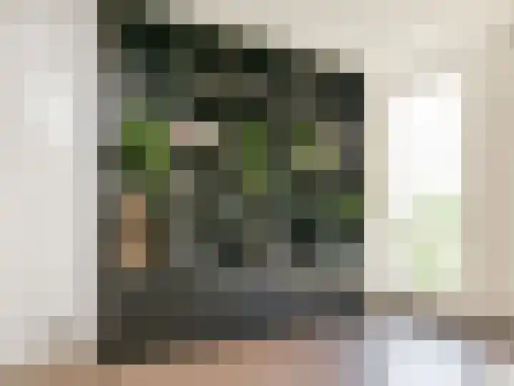 P J Warmerdamstraat 22 De Zilk thumbnail 15
