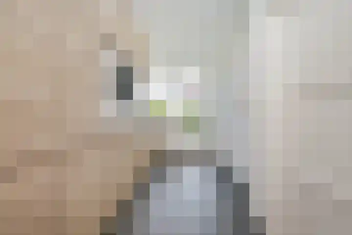 P J Warmerdamstraat 22 De Zilk thumbnail 17