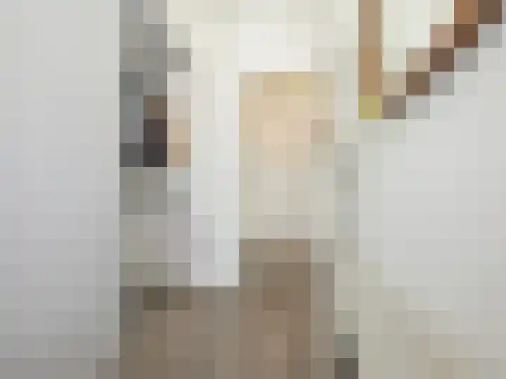 P J Warmerdamstraat 22 De Zilk thumbnail 18