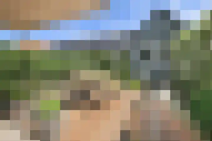 P J Warmerdamstraat 22 De Zilk thumbnail 21