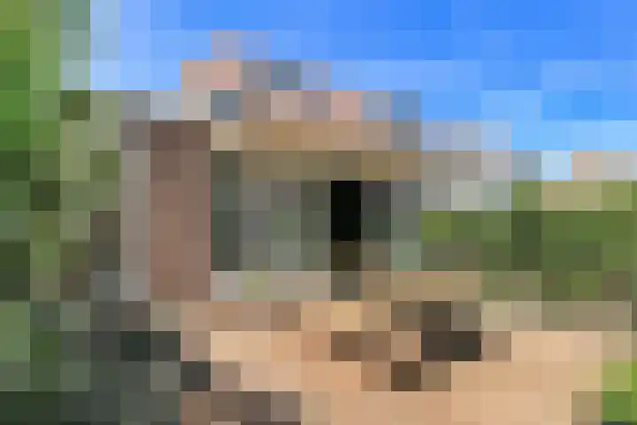 P J Warmerdamstraat 22 De Zilk thumbnail 22