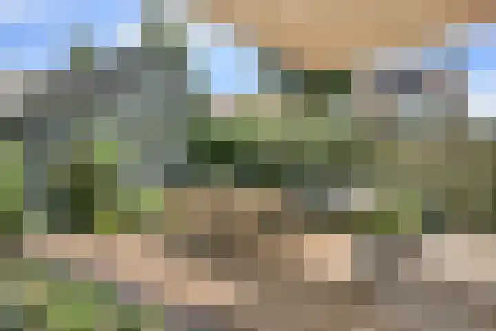 P J Warmerdamstraat 22 De Zilk thumbnail 23