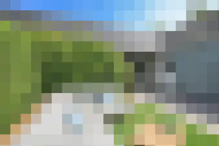 P J Warmerdamstraat 22 De Zilk thumbnail 25