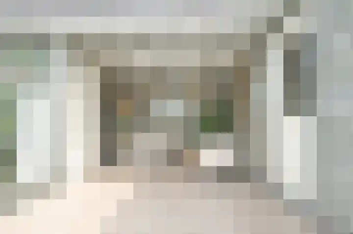 P J Warmerdamstraat 22 De Zilk thumbnail 26