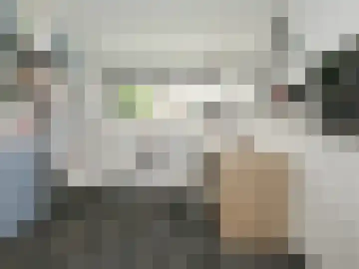 P J Warmerdamstraat 22 De Zilk thumbnail 27