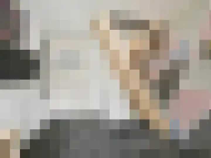 P J Warmerdamstraat 22 De Zilk thumbnail 28