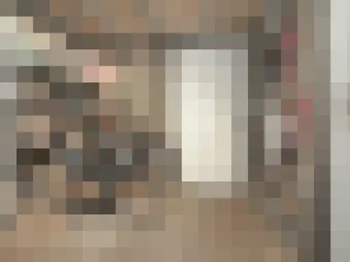 P J Warmerdamstraat 22 De Zilk thumbnail 29