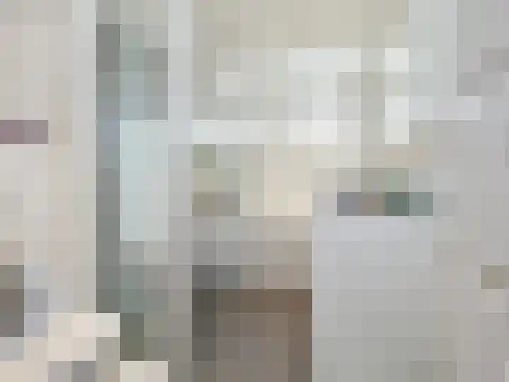 P J Warmerdamstraat 22 De Zilk thumbnail 32