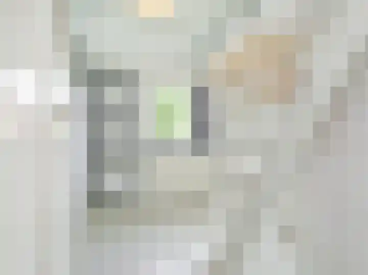 P J Warmerdamstraat 22 De Zilk thumbnail 34