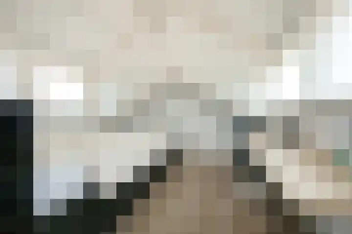 P J Warmerdamstraat 22 De Zilk thumbnail 35