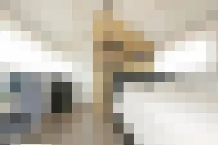 P J Warmerdamstraat 22 De Zilk thumbnail 36