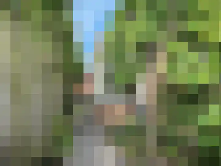 P J Warmerdamstraat 22 De Zilk thumbnail 39