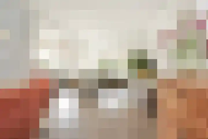 P J Warmerdamstraat 22 De Zilk thumbnail 4