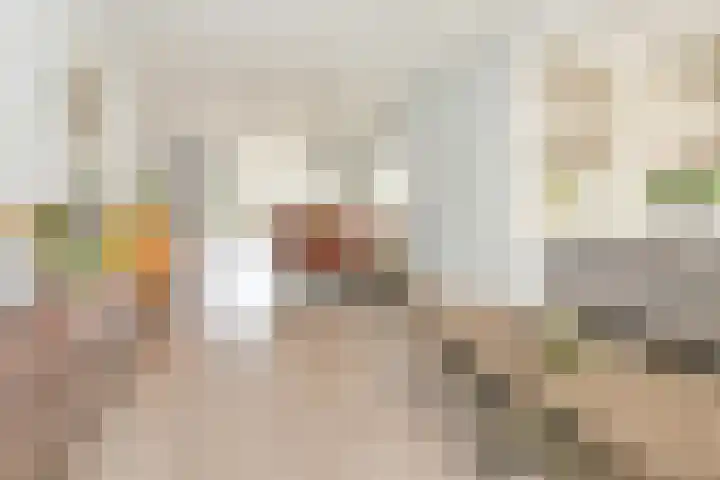 P J Warmerdamstraat 22 De Zilk thumbnail 5