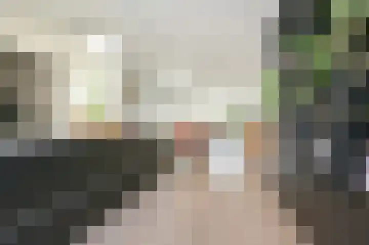 P J Warmerdamstraat 22 De Zilk thumbnail 6