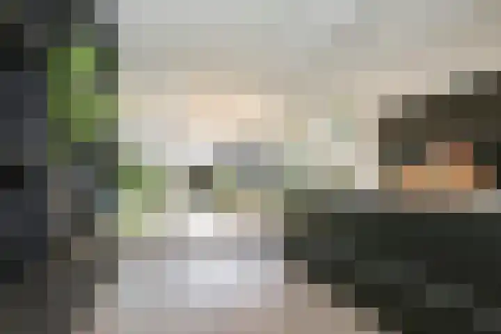 P J Warmerdamstraat 22 De Zilk thumbnail 7