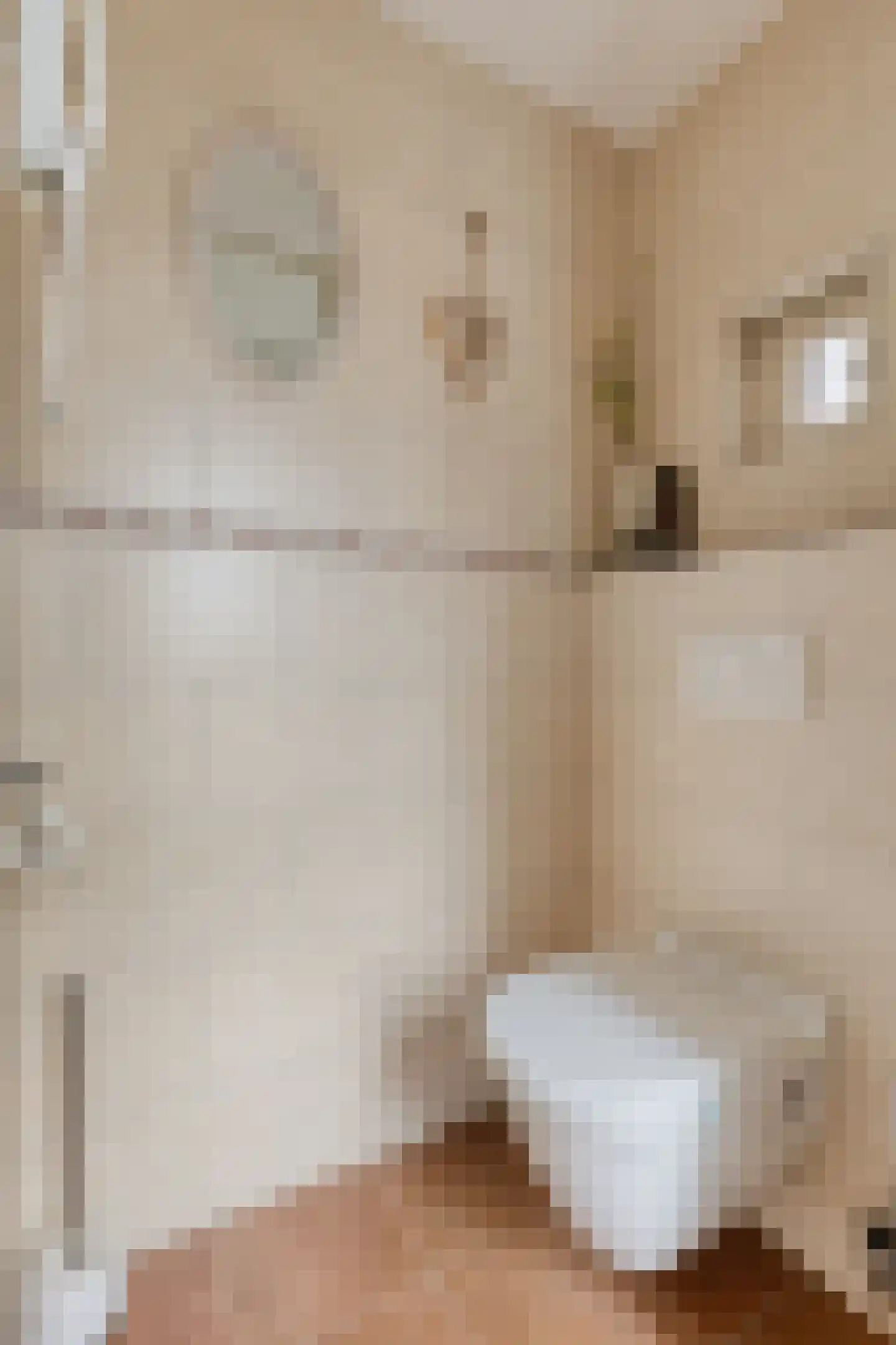 P J Zweegersplein 9 Geldrop thumbnail 12