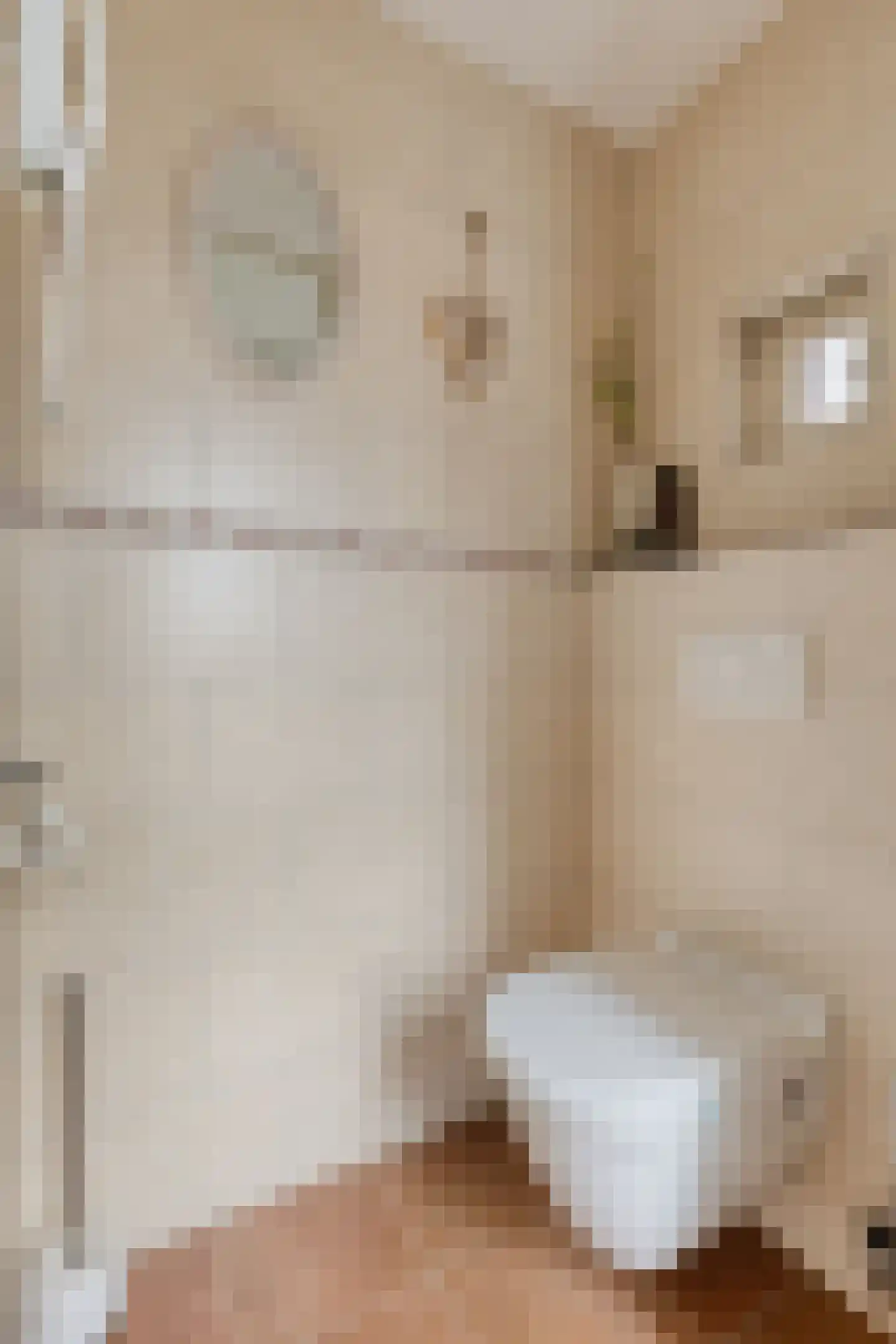 P J Zweegersplein 9 Geldrop thumbnail 13