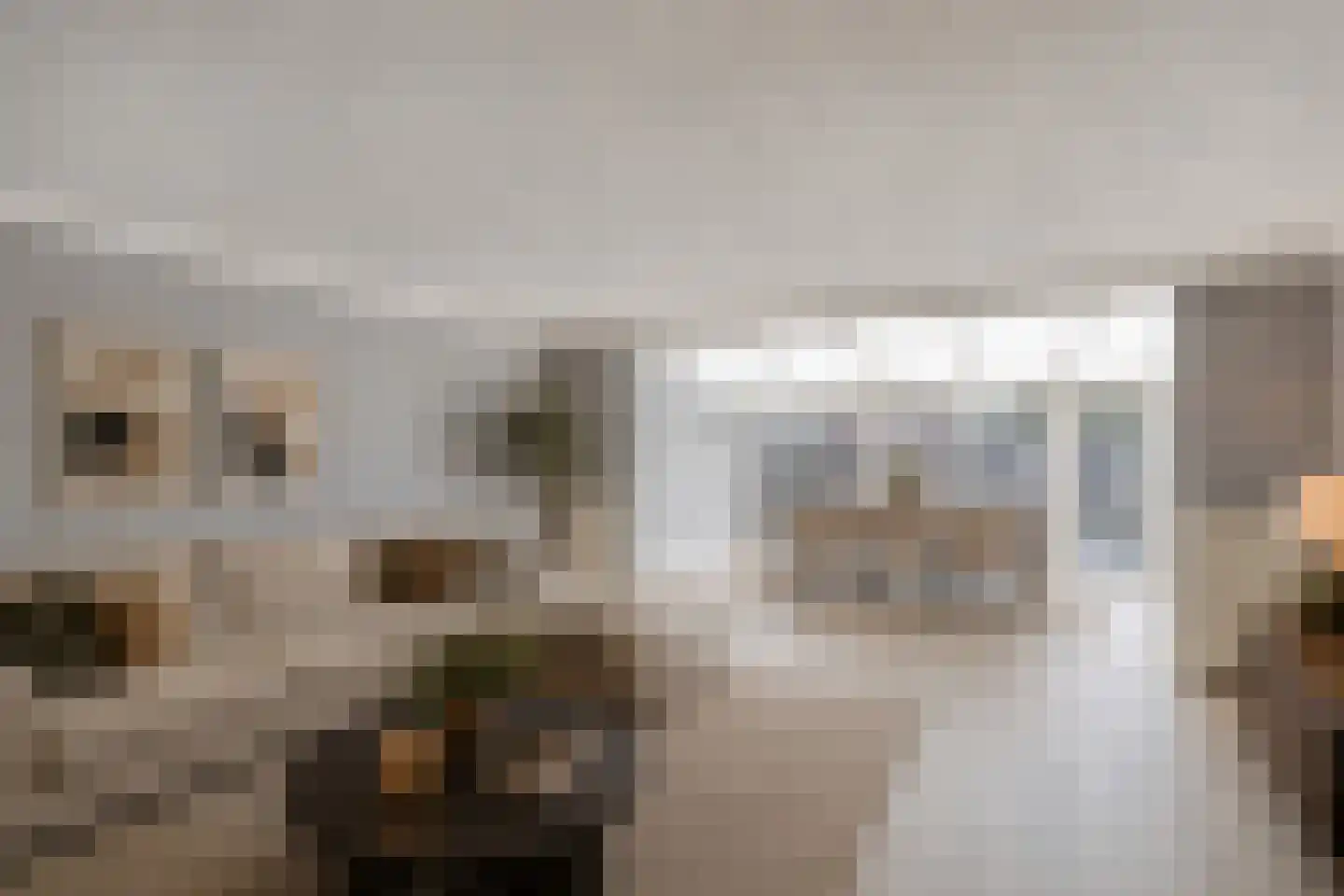 P J Zweegersplein 9 Geldrop thumbnail 15