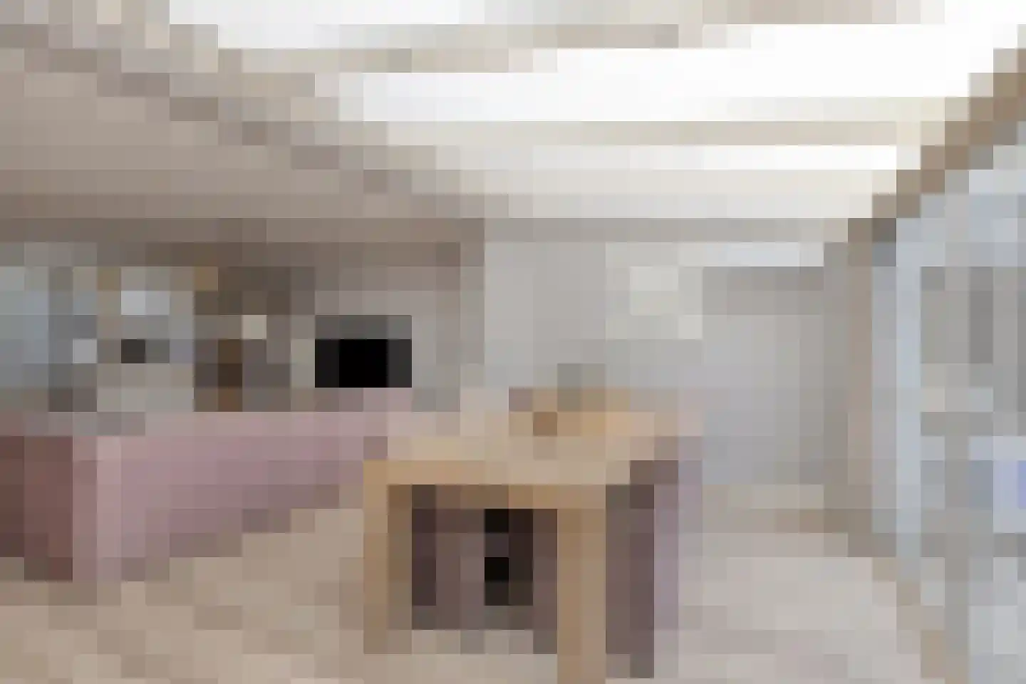 P J Zweegersplein 9 Geldrop thumbnail 15