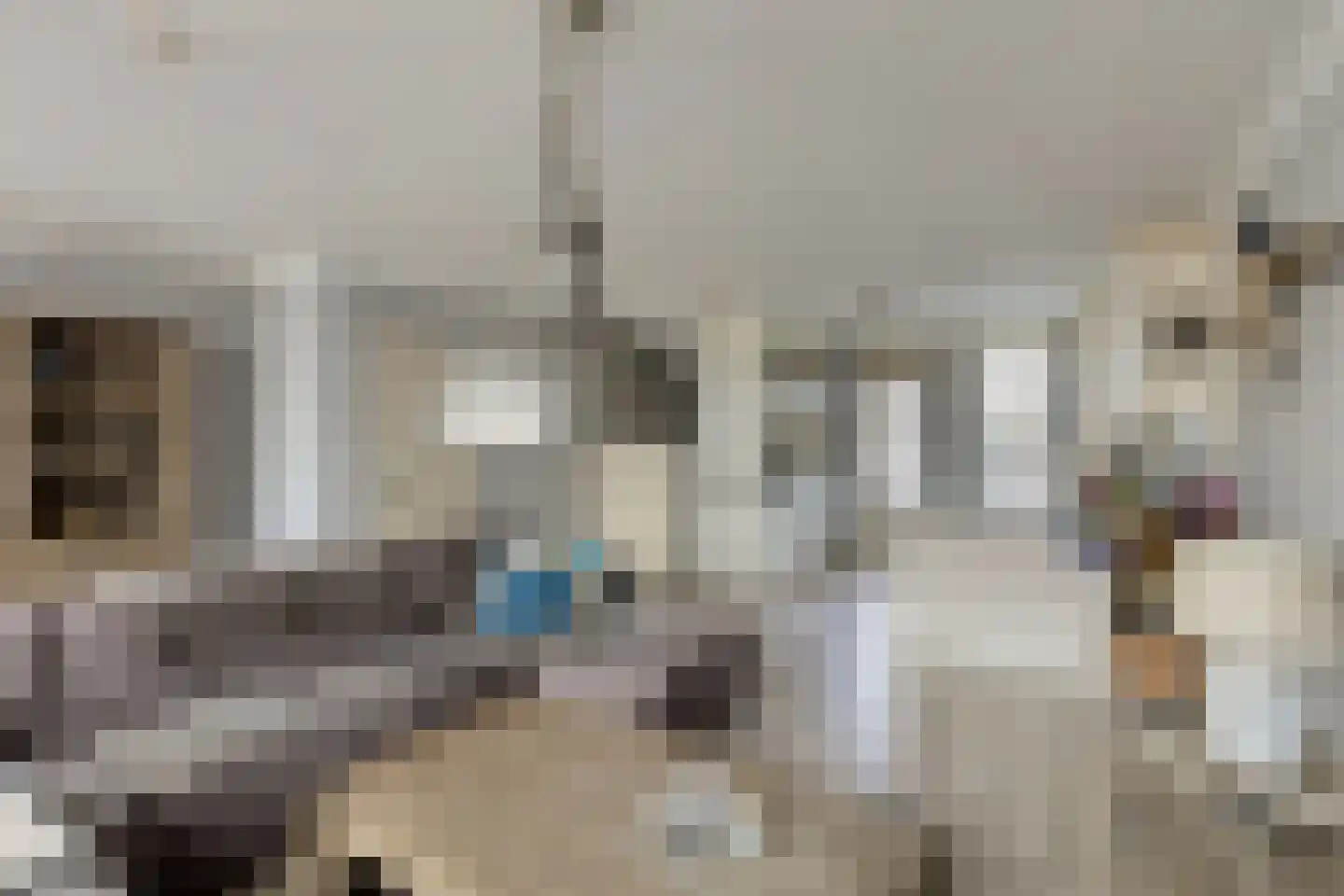 P J Zweegersplein 9 Geldrop thumbnail 16