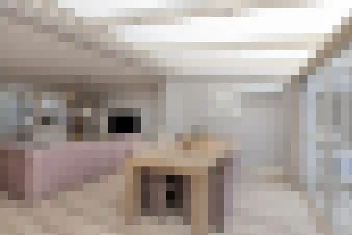 P J Zweegersplein 9 Geldrop thumbnail 17