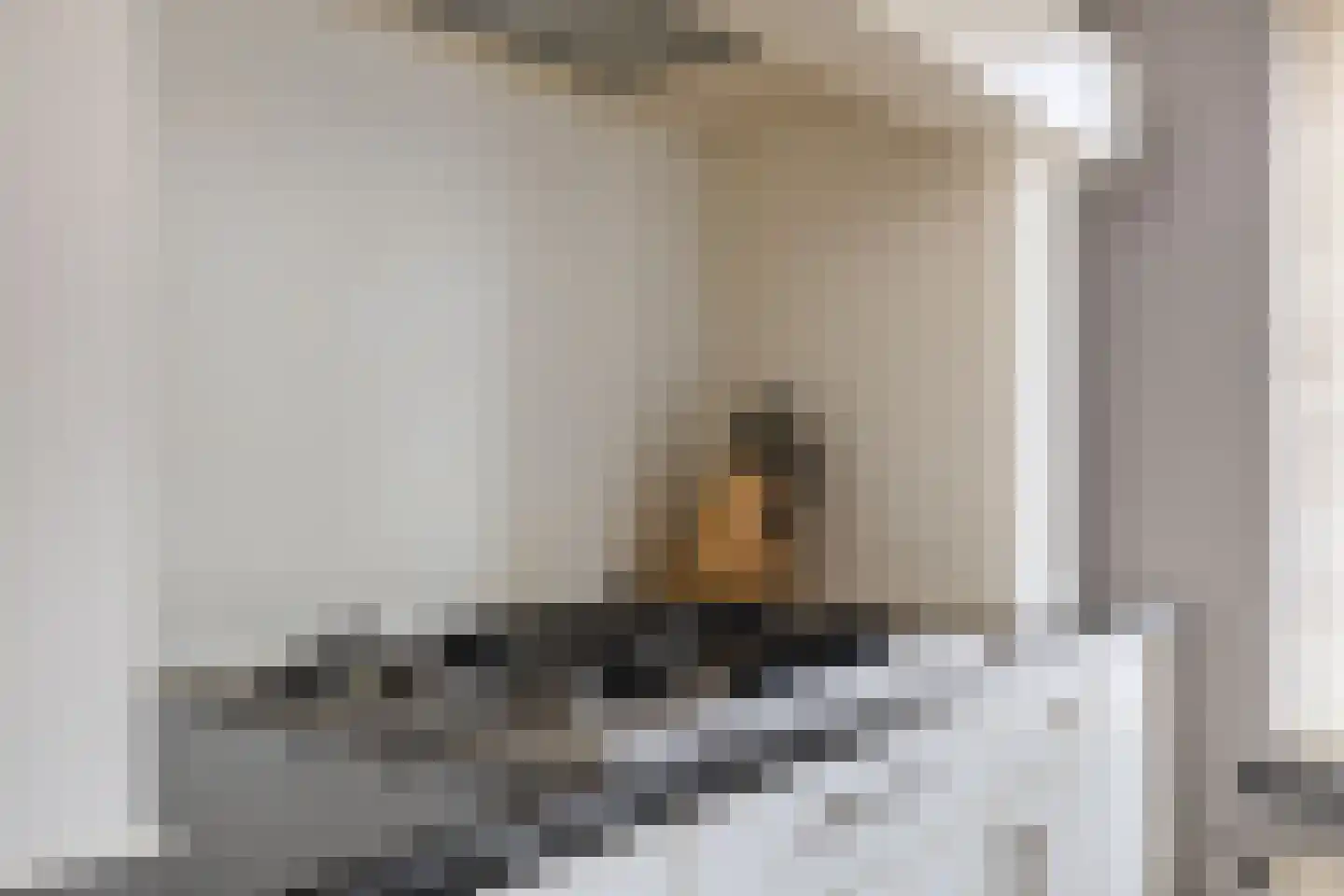 P J Zweegersplein 9 Geldrop thumbnail 17