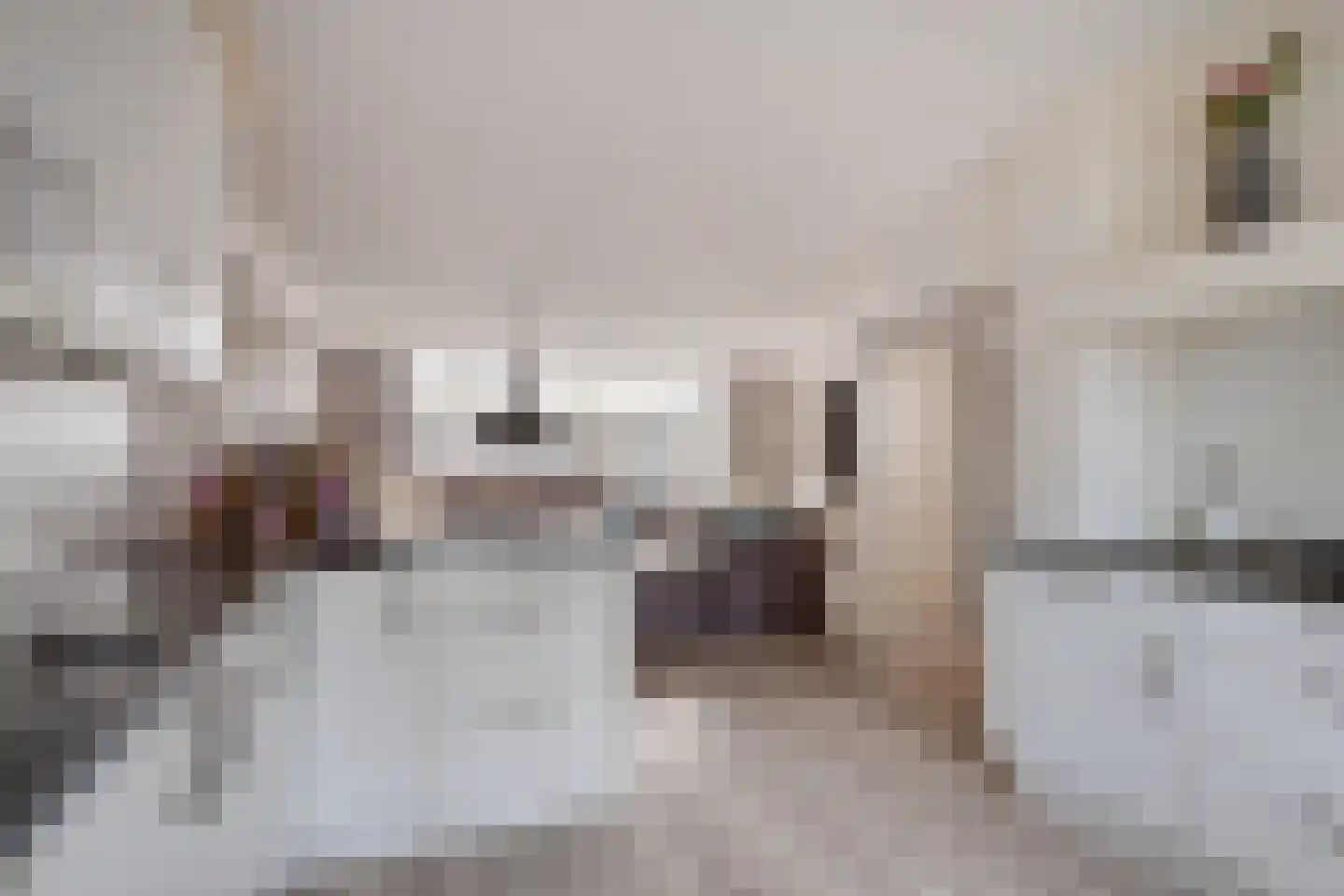 P J Zweegersplein 9 Geldrop thumbnail 18