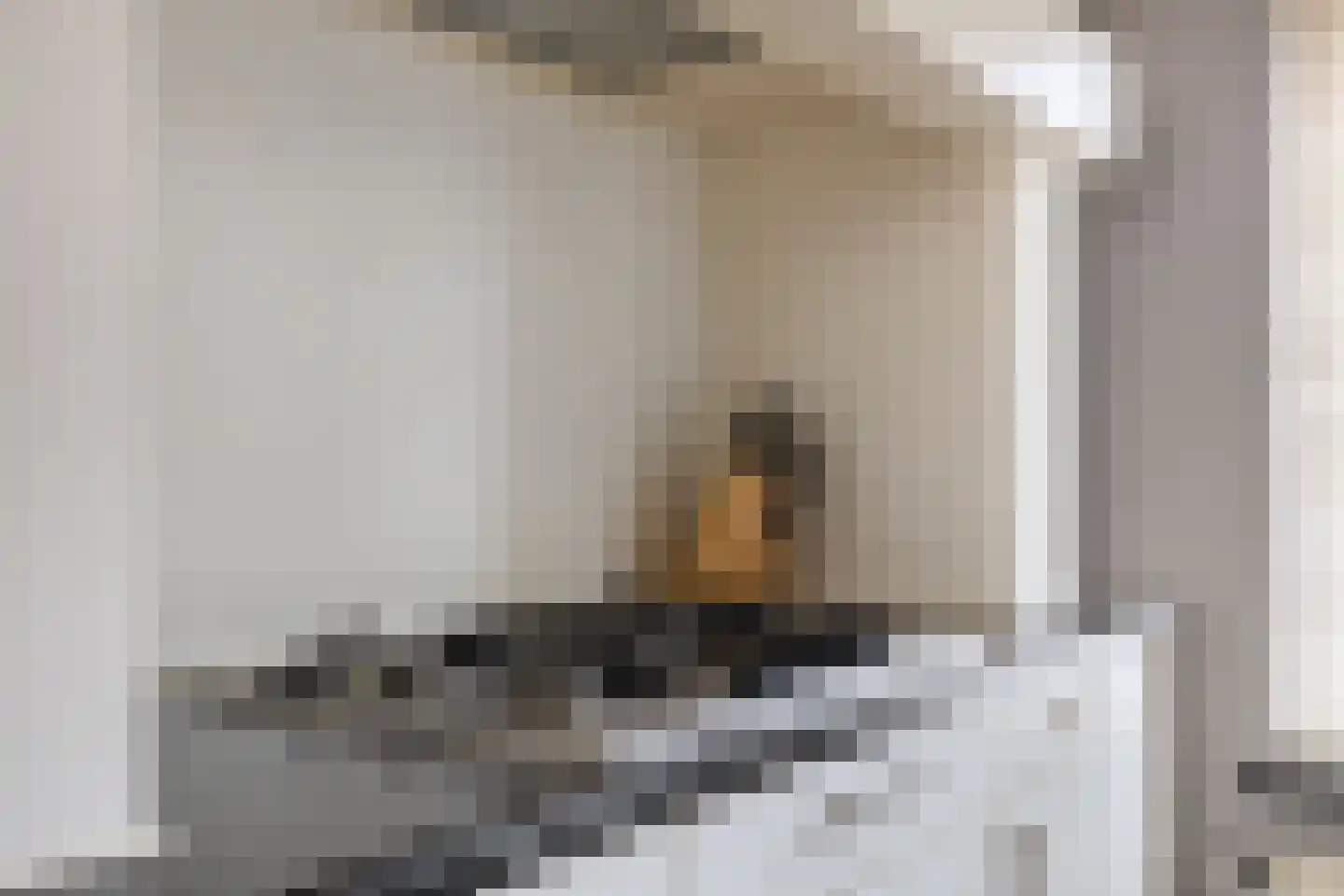 P J Zweegersplein 9 Geldrop thumbnail 19