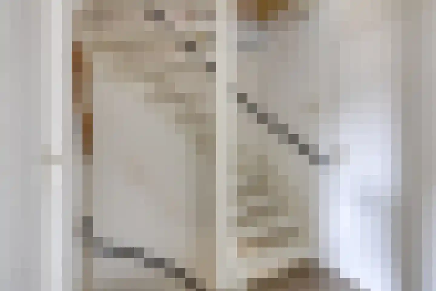 P J Zweegersplein 9 Geldrop thumbnail 20
