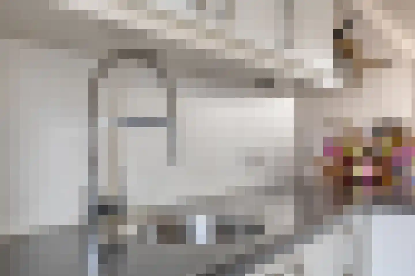 P J Zweegersplein 9 Geldrop thumbnail 20