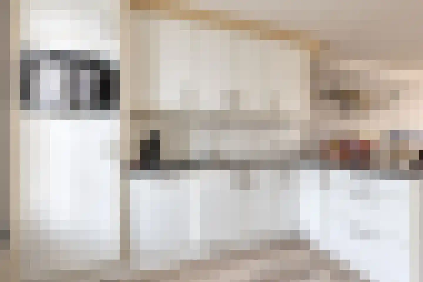 P J Zweegersplein 9 Geldrop thumbnail 21