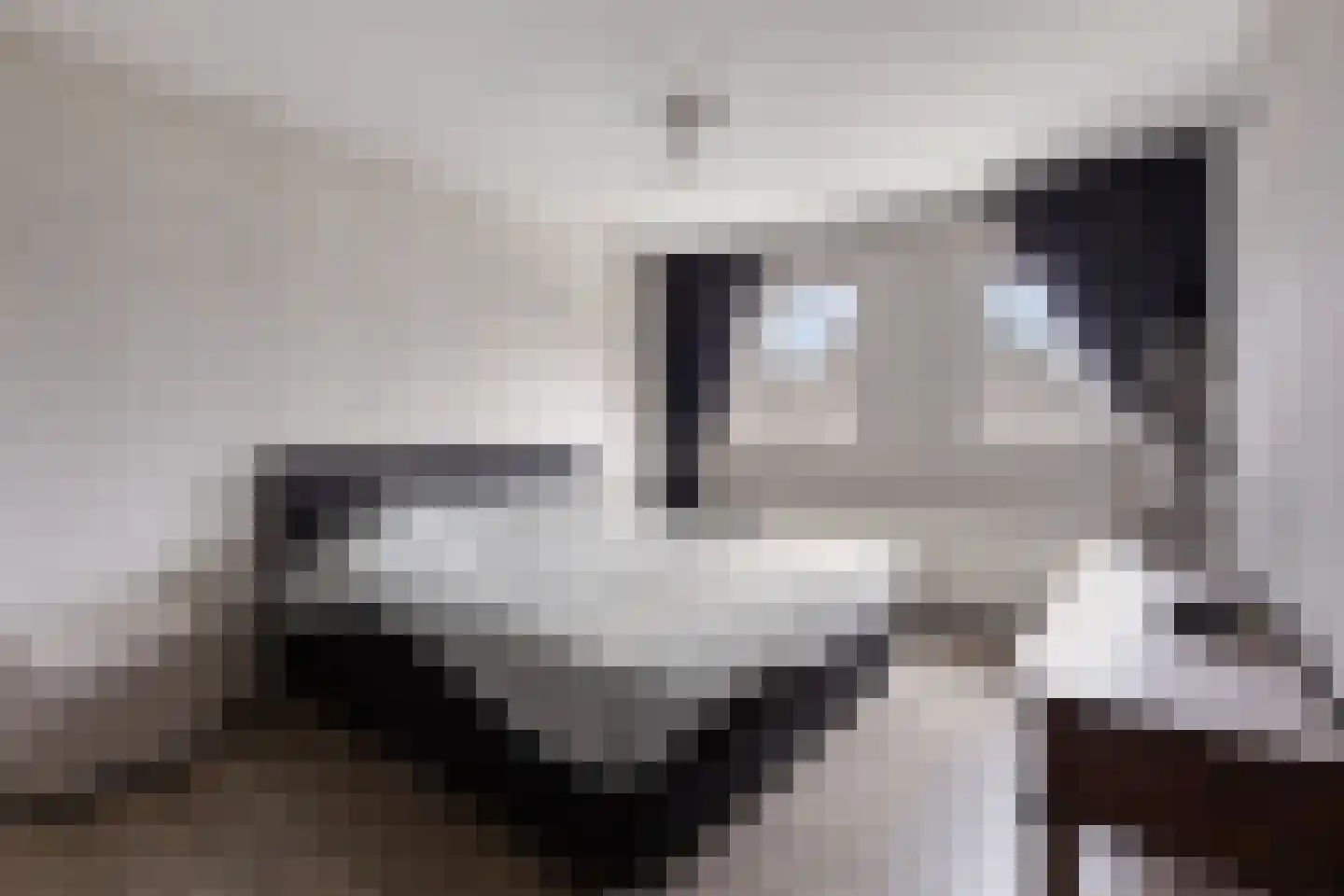P J Zweegersplein 9 Geldrop thumbnail 23
