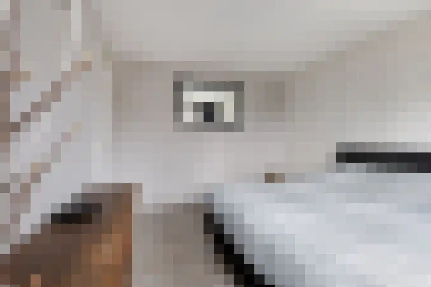 P J Zweegersplein 9 Geldrop thumbnail 23