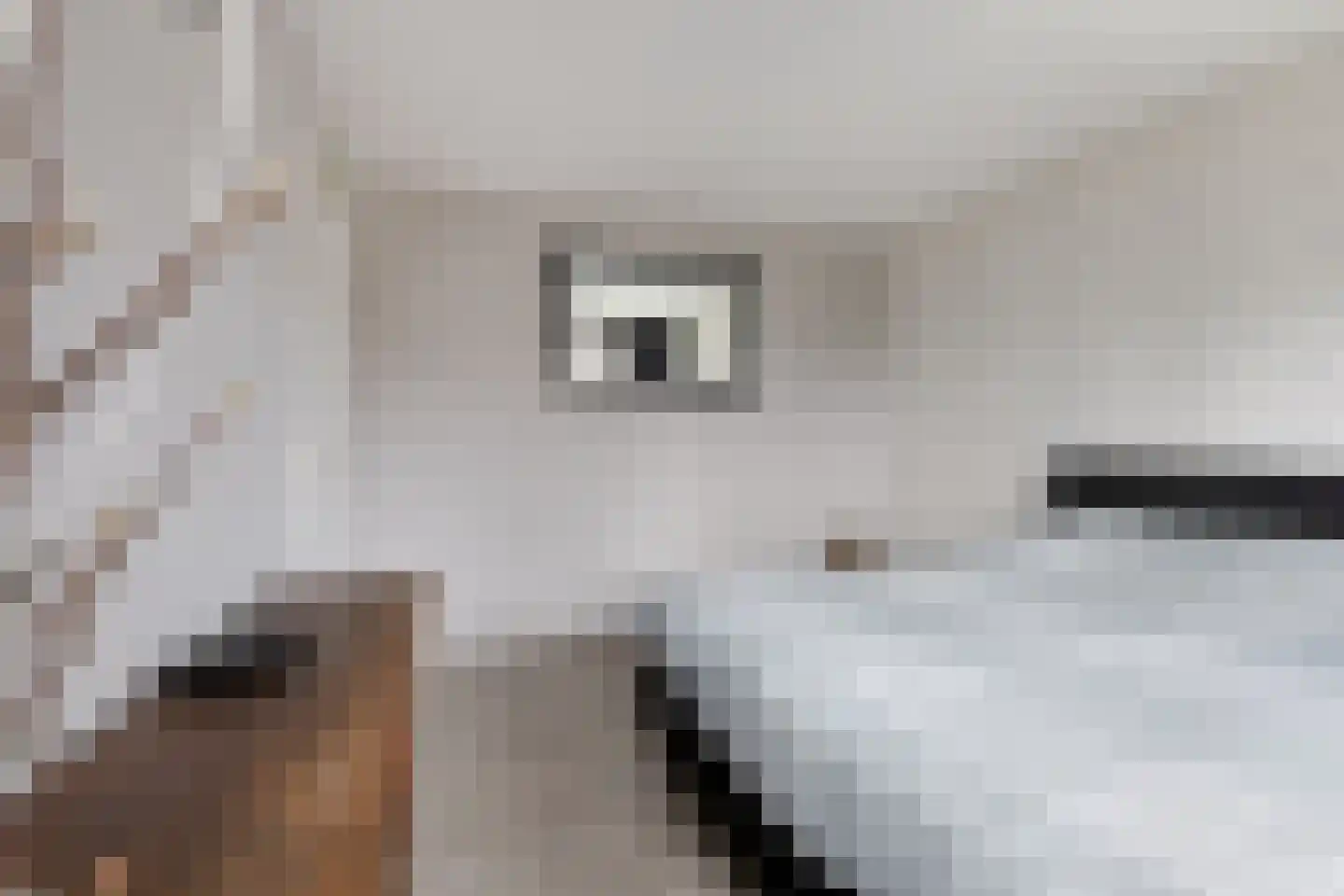 P J Zweegersplein 9 Geldrop thumbnail 25