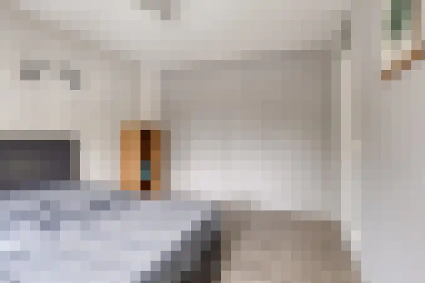 P J Zweegersplein 9 Geldrop thumbnail 31