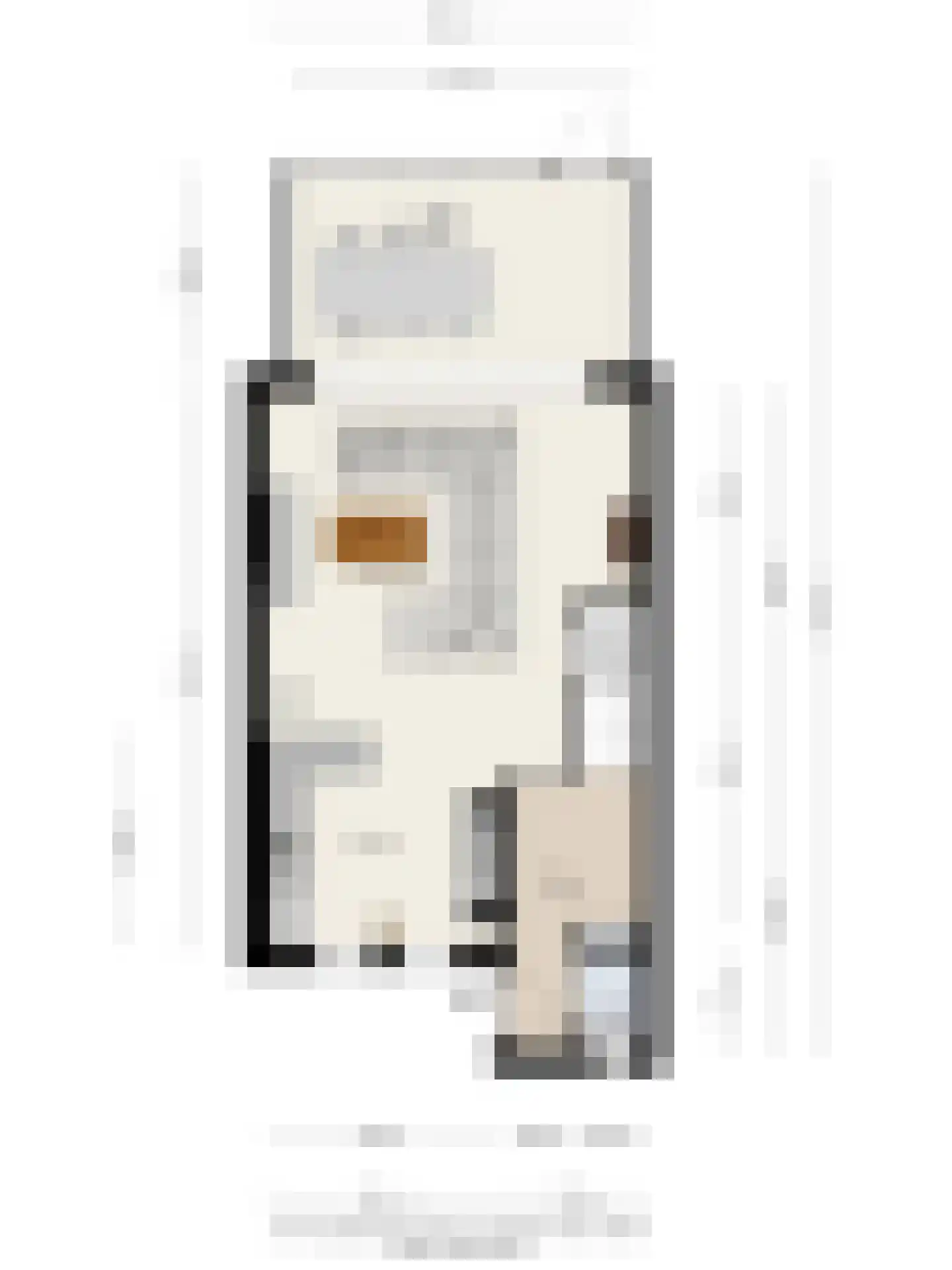 P J Zweegersplein 9 Geldrop thumbnail 41