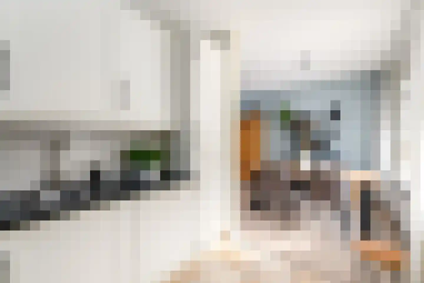 P.K.Pelstraat 20 Drachten thumbnail 12