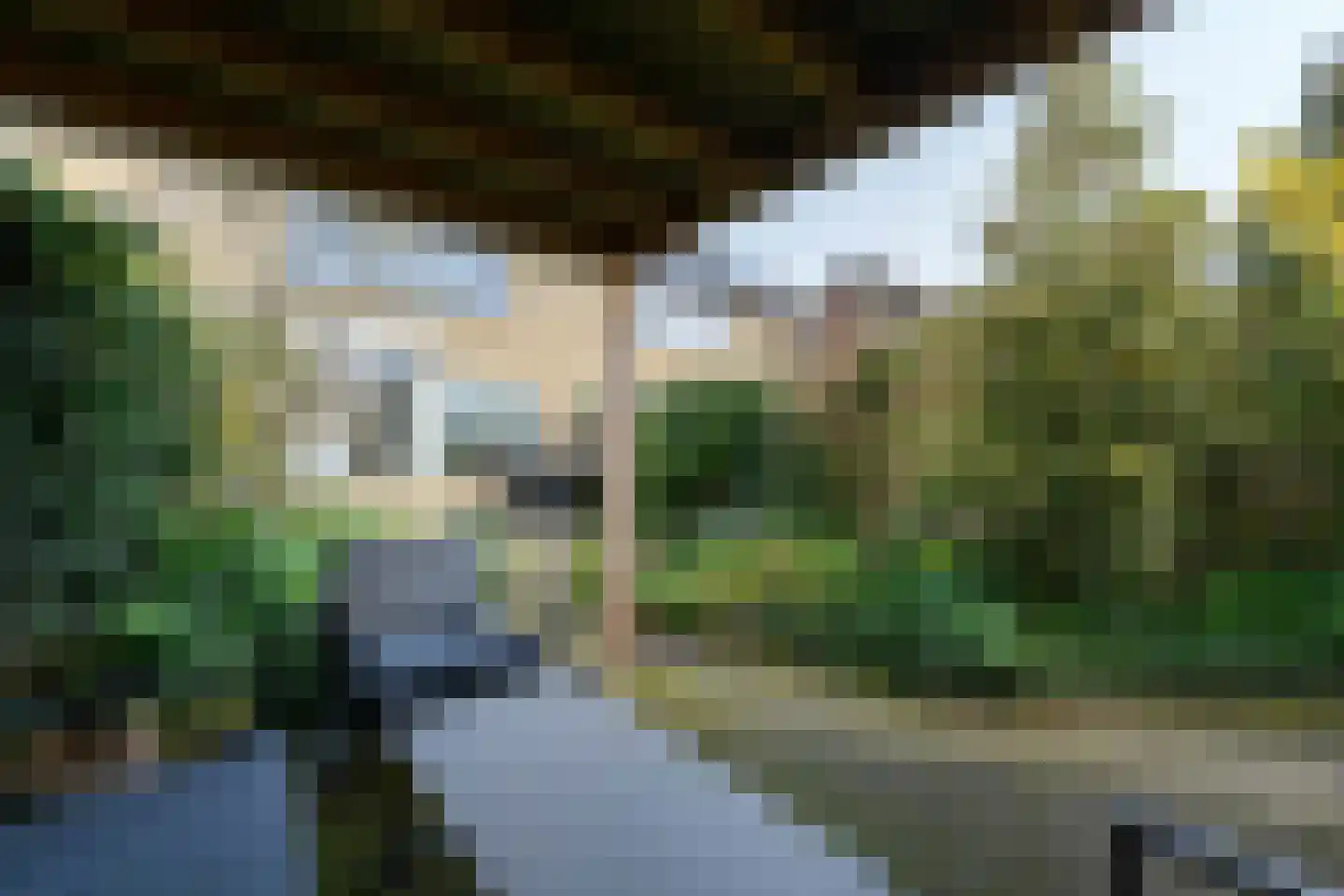 P.K.Pelstraat 20 Drachten thumbnail 31