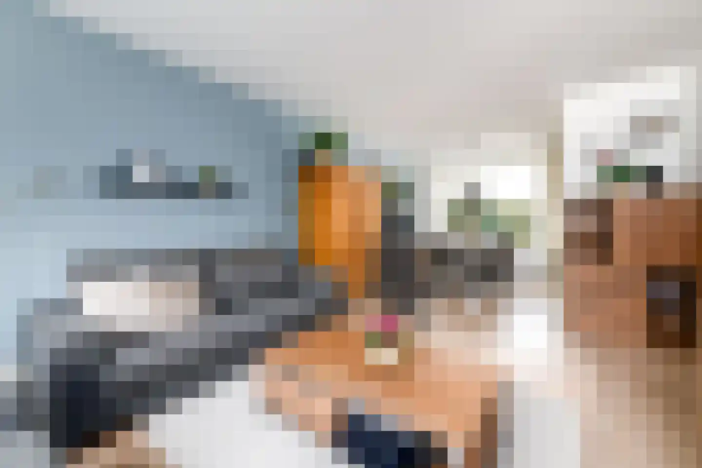 P.K.Pelstraat 20 Drachten thumbnail 8