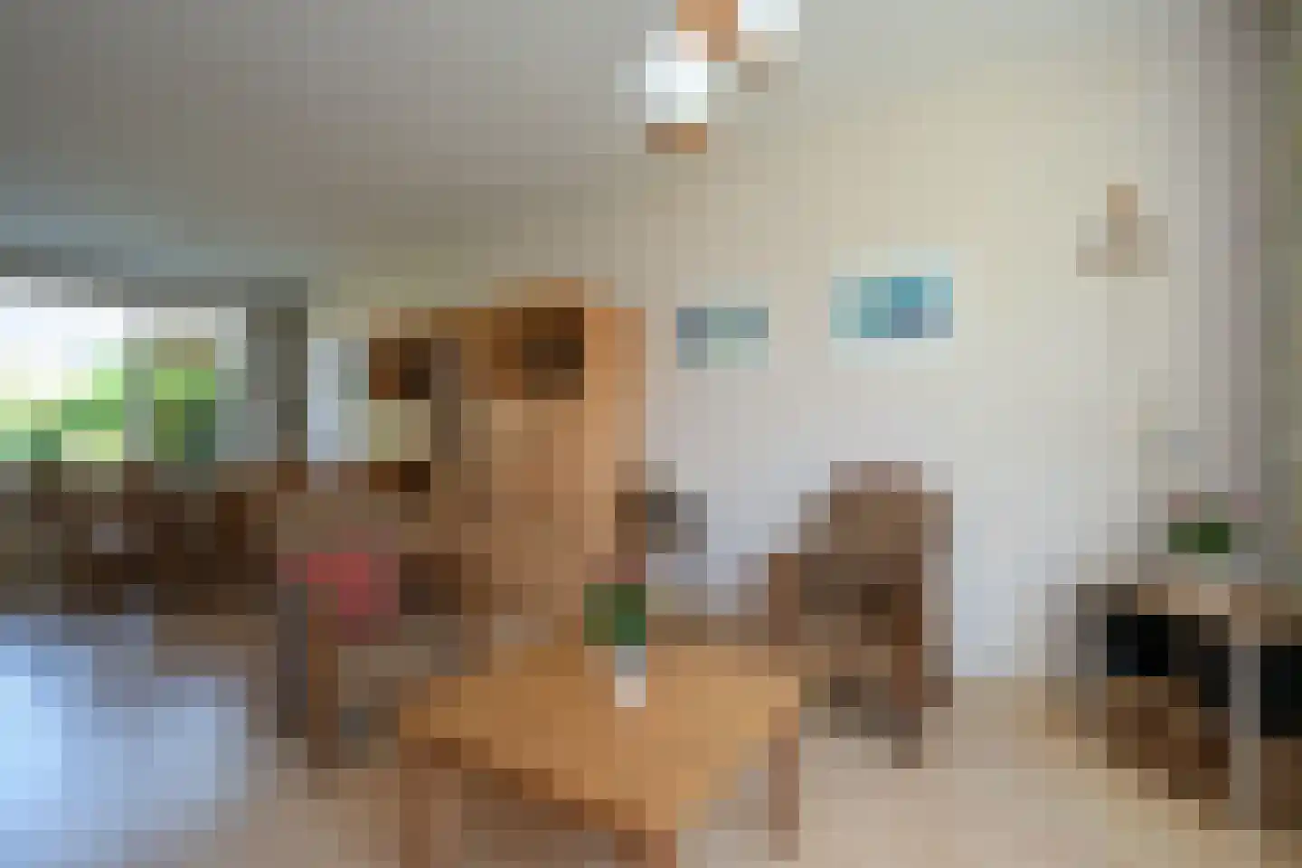 P.K.Pelstraat 34 Drachten thumbnail 6