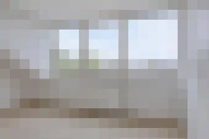 P.K.Pelstraat 40 Drachten thumbnail 32