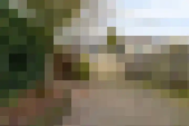 P.K.Pelstraat 40 Drachten thumbnail 36