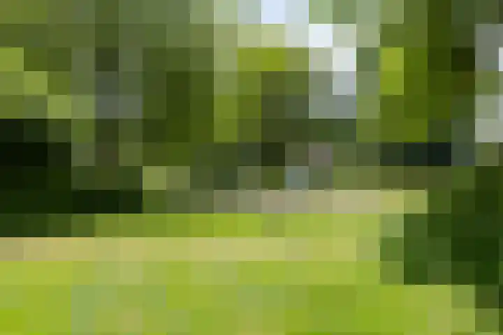 P.K.Pelstraat 40 Drachten thumbnail 41